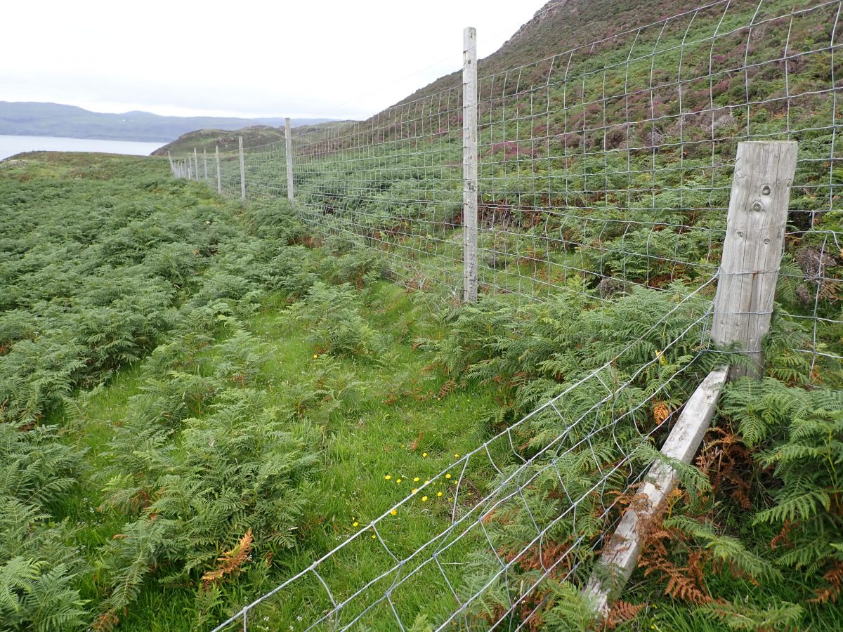 Gometra Deer fence