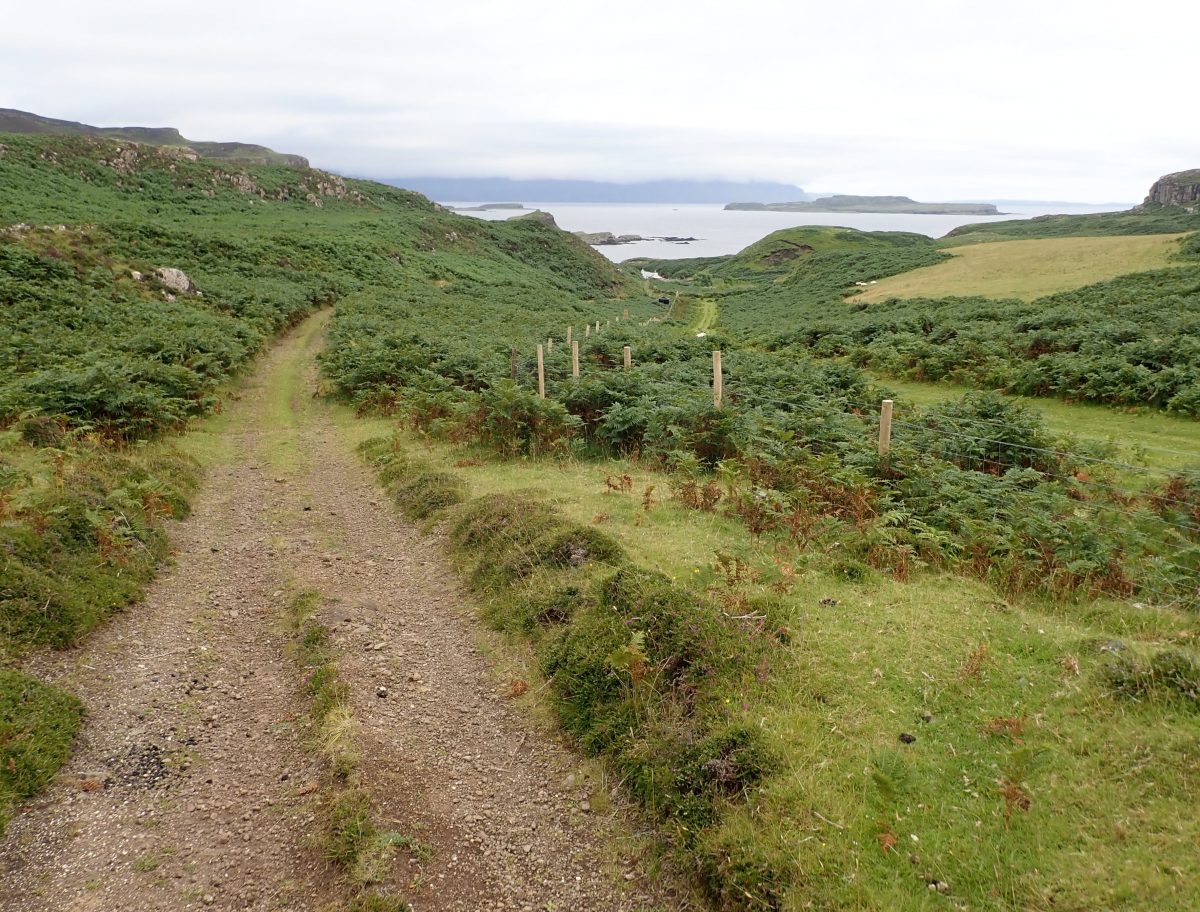 Scottish islands Gometra south side track