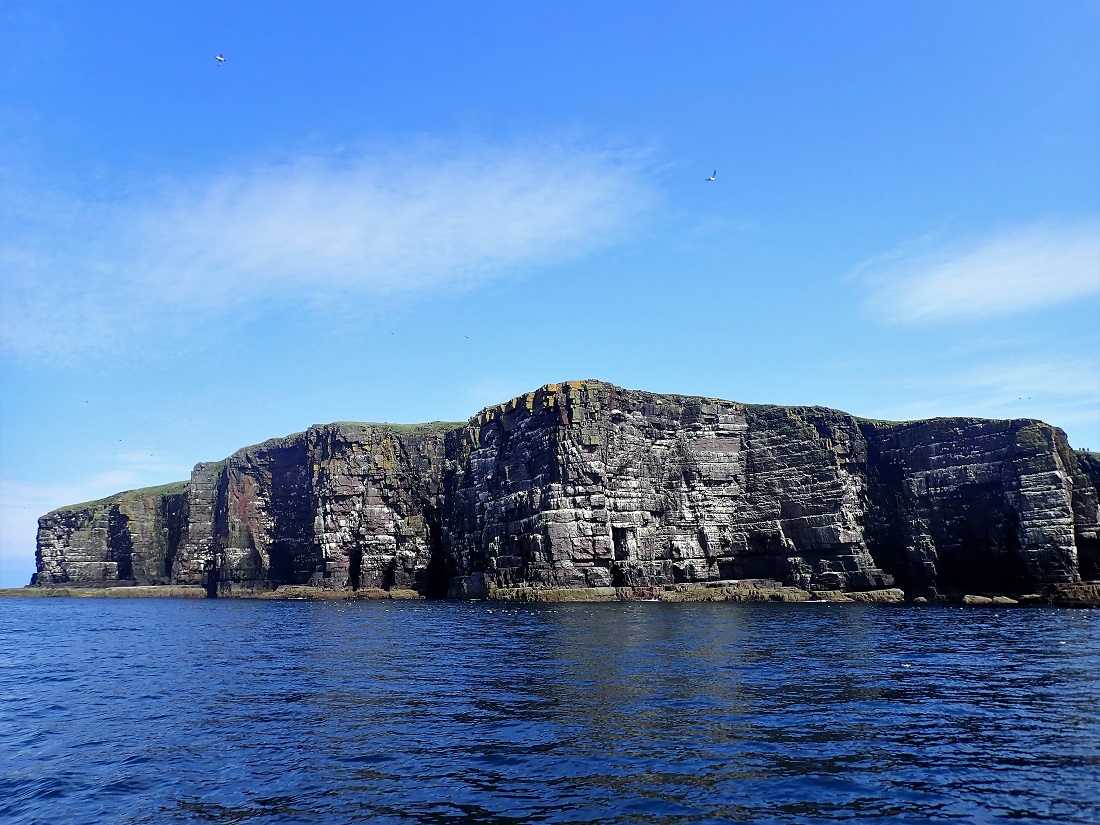 Handa island cliffs