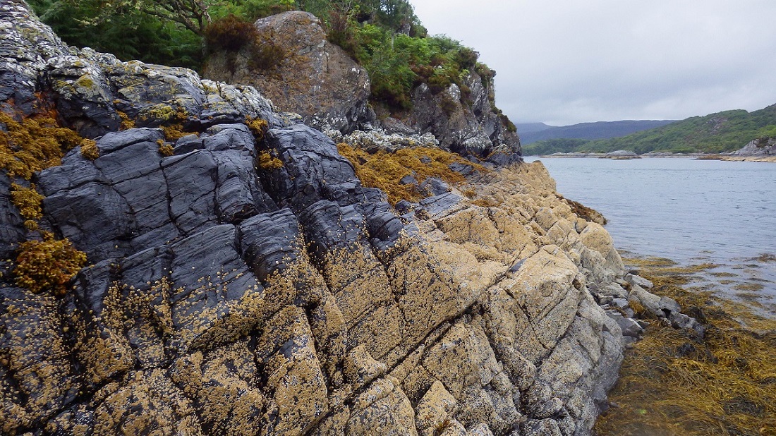 rocks with barnacles and seaweed Scottish island